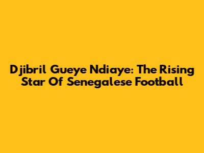 Djibril Gueye Ndiaye: The Rising Star Of Senegalese Football