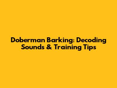 Doberman Barking: Decoding Sounds & Training Tips