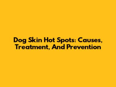 Dog Skin Hot Spots: Causes, Treatment, And Prevention