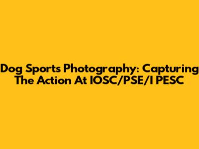 Dog Sports Photography: Capturing The Action At IOSC/PSE/I PESC