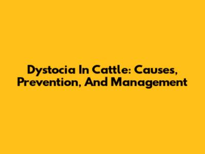 Dystocia In Cattle: Causes, Prevention, And Management