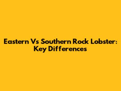 Eastern Vs Southern Rock Lobster: Key Differences