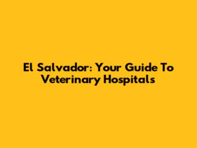 El Salvador: Your Guide To Veterinary Hospitals