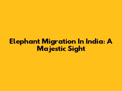 Elephant Migration In India: A Majestic Sight