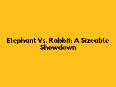 Elephant Vs. Rabbit: A Sizeable Showdown