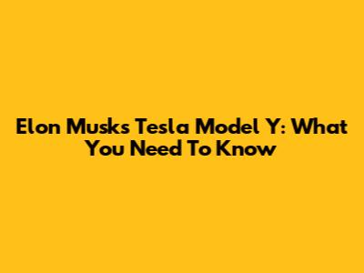 Elon Musk's Tesla Model Y: What You Need To Know