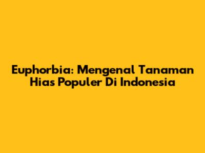 Euphorbia: Mengenal Tanaman Hias Populer Di Indonesia