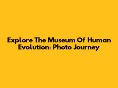 Explore The Museum Of Human Evolution: Photo Journey