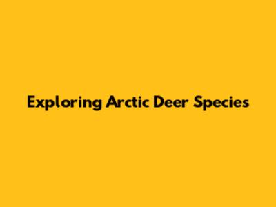 Exploring Arctic Deer Species