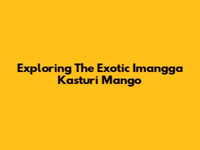 Exploring The Exotic Imangga Kasturi Mango