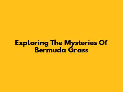 Exploring The Mysteries Of Bermuda Grass