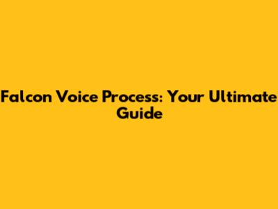 Falcon Voice Process: Your Ultimate Guide
