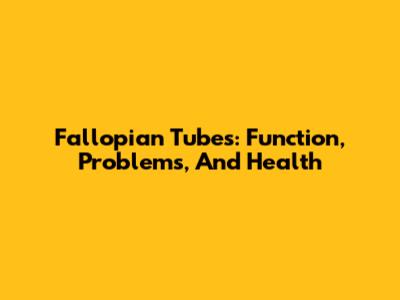 Fallopian Tubes: Function, Problems, And Health