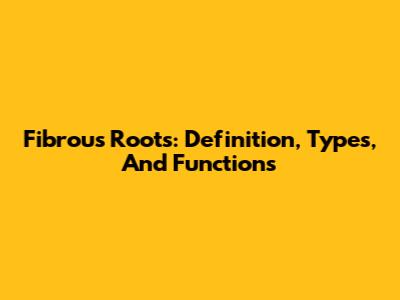 Fibrous Roots: Definition, Types, And Functions