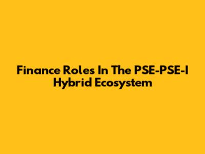 Finance Roles In The PSE-PSE-I Hybrid Ecosystem