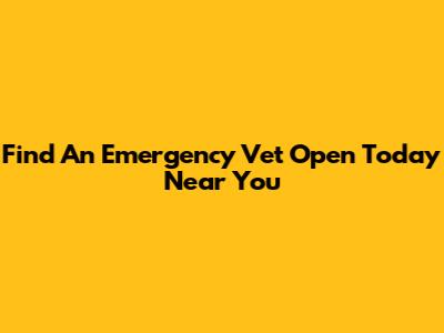 Find An Emergency Vet Open Today Near You