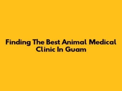 Finding The Best Animal Medical Clinic In Guam
