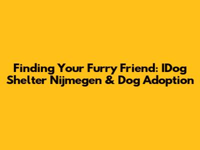 Finding Your Furry Friend: IDog Shelter Nijmegen & Dog Adoption