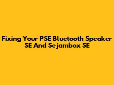 Fixing Your PSE Bluetooth Speaker SE And Sejambox SE