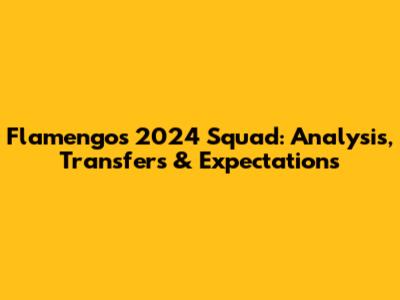 Flamengo's 2024 Squad: Analysis, Transfers & Expectations