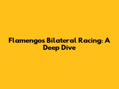 Flamengo's Bilateral Racing: A Deep Dive