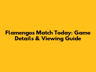 Flamengo's Match Today: Game Details & Viewing Guide