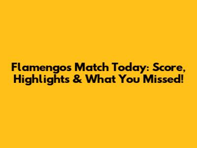 Flamengo's Match Today: Score, Highlights & What You Missed!