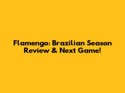 Flamengo: Brazilian Season Review & Next Game!