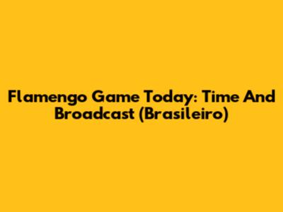 Flamengo Game Today: Time And Broadcast (Brasileiro)