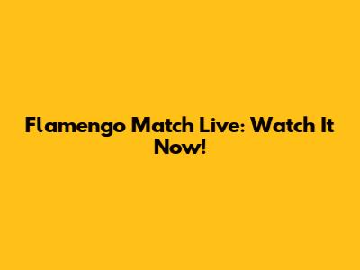 Flamengo Match Live: Watch It Now!