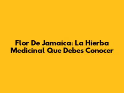 Flor De Jamaica: La Hierba Medicinal Que Debes Conocer