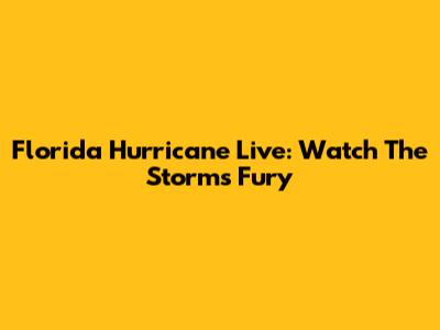 Florida Hurricane Live: Watch The Storm's Fury