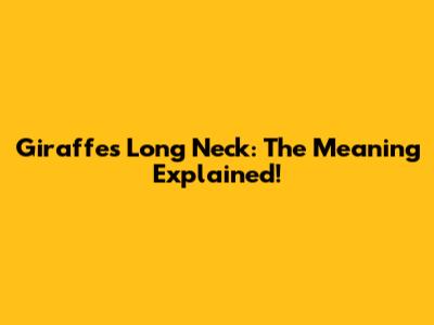Giraffe's Long Neck: The Meaning Explained!