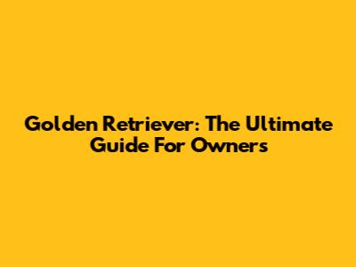 Golden Retriever: The Ultimate Guide For Owners