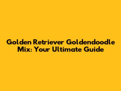 Golden Retriever Goldendoodle Mix: Your Ultimate Guide