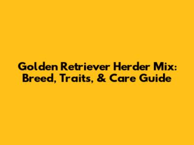 Golden Retriever Herder Mix: Breed, Traits, & Care Guide