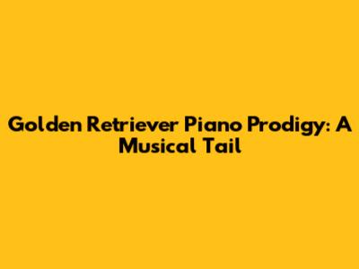 Golden Retriever Piano Prodigy: A Musical Tail