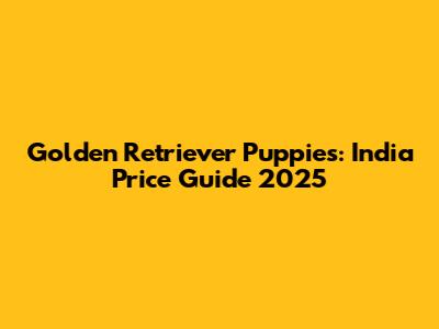 Golden Retriever Puppies: India Price Guide 2025
