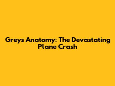 Grey's Anatomy: The Devastating Plane Crash