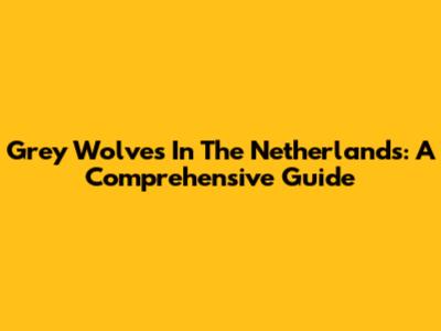 Grey Wolves In The Netherlands: A Comprehensive Guide