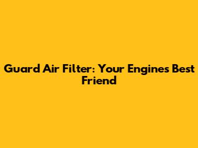 Guard Air Filter: Your Engine's Best Friend