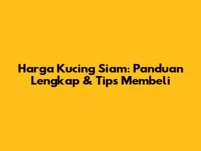 Harga Kucing Siam: Panduan Lengkap & Tips Membeli