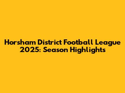 Horsham District Football League 2025: Season Highlights