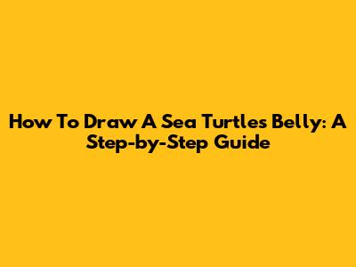 How To Draw A Sea Turtle's Belly: A Step-by-Step Guide