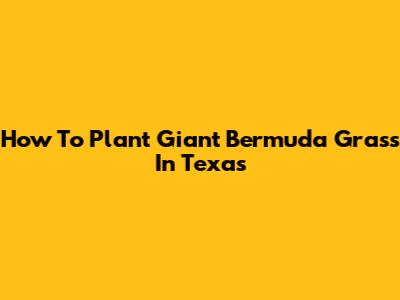 How To Plant Giant Bermuda Grass In Texas