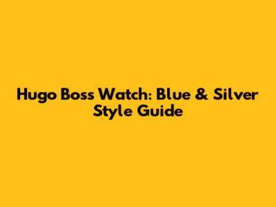 Hugo Boss Watch: Blue & Silver Style Guide