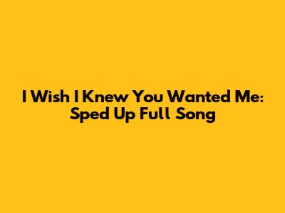 I Wish I Knew You Wanted Me: Sped Up Full Song