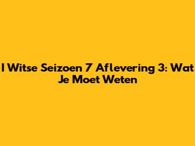I Witse Seizoen 7 Aflevering 3: Wat Je Moet Weten