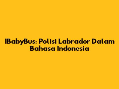 IBabyBus: Polisi Labrador Dalam Bahasa Indonesia