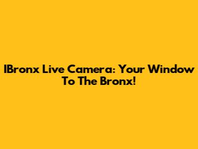 IBronx Live Camera: Your Window To The Bronx!